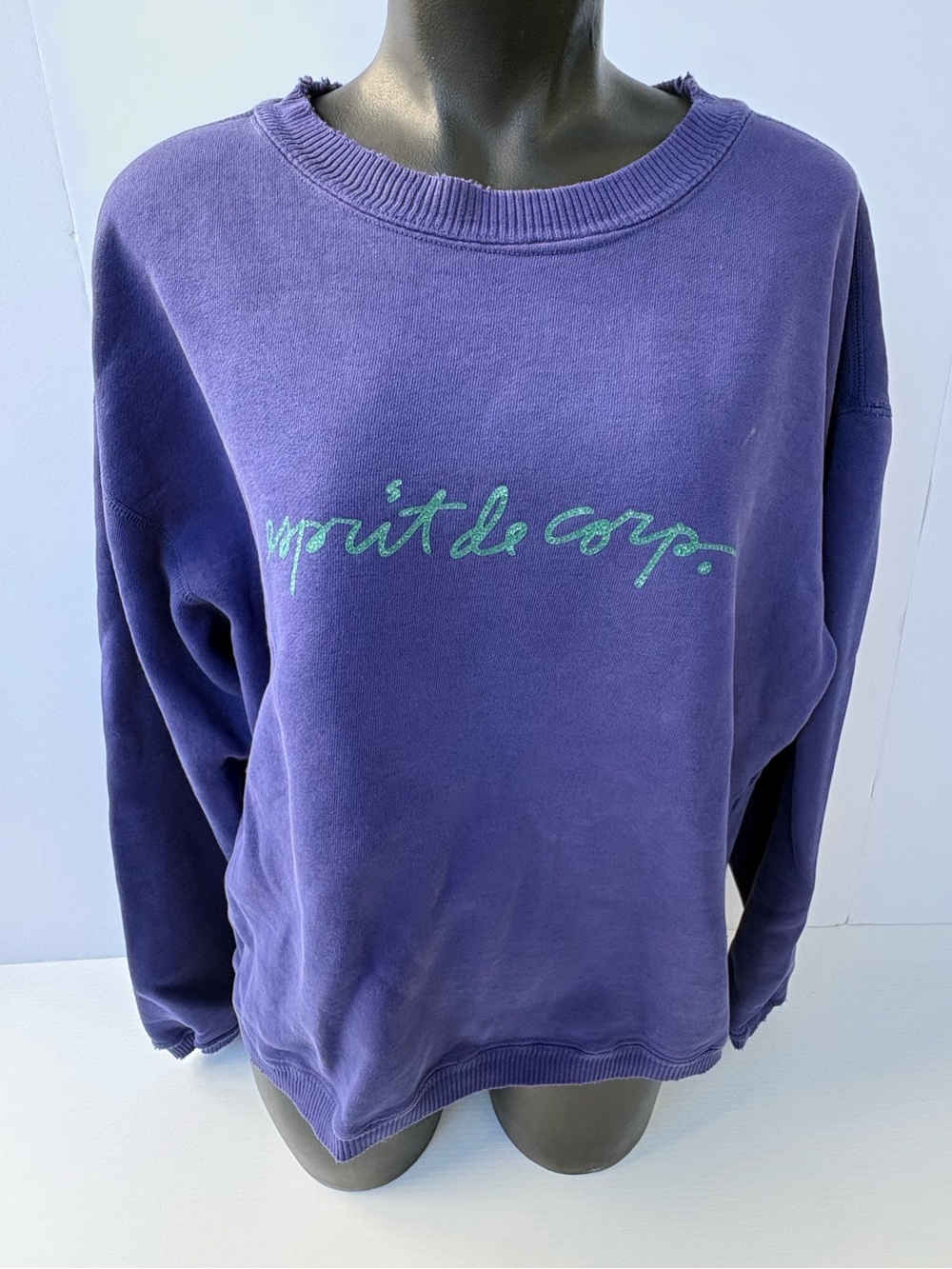 Vintage Esprit Purple Crewneck Sweater with Teal Script